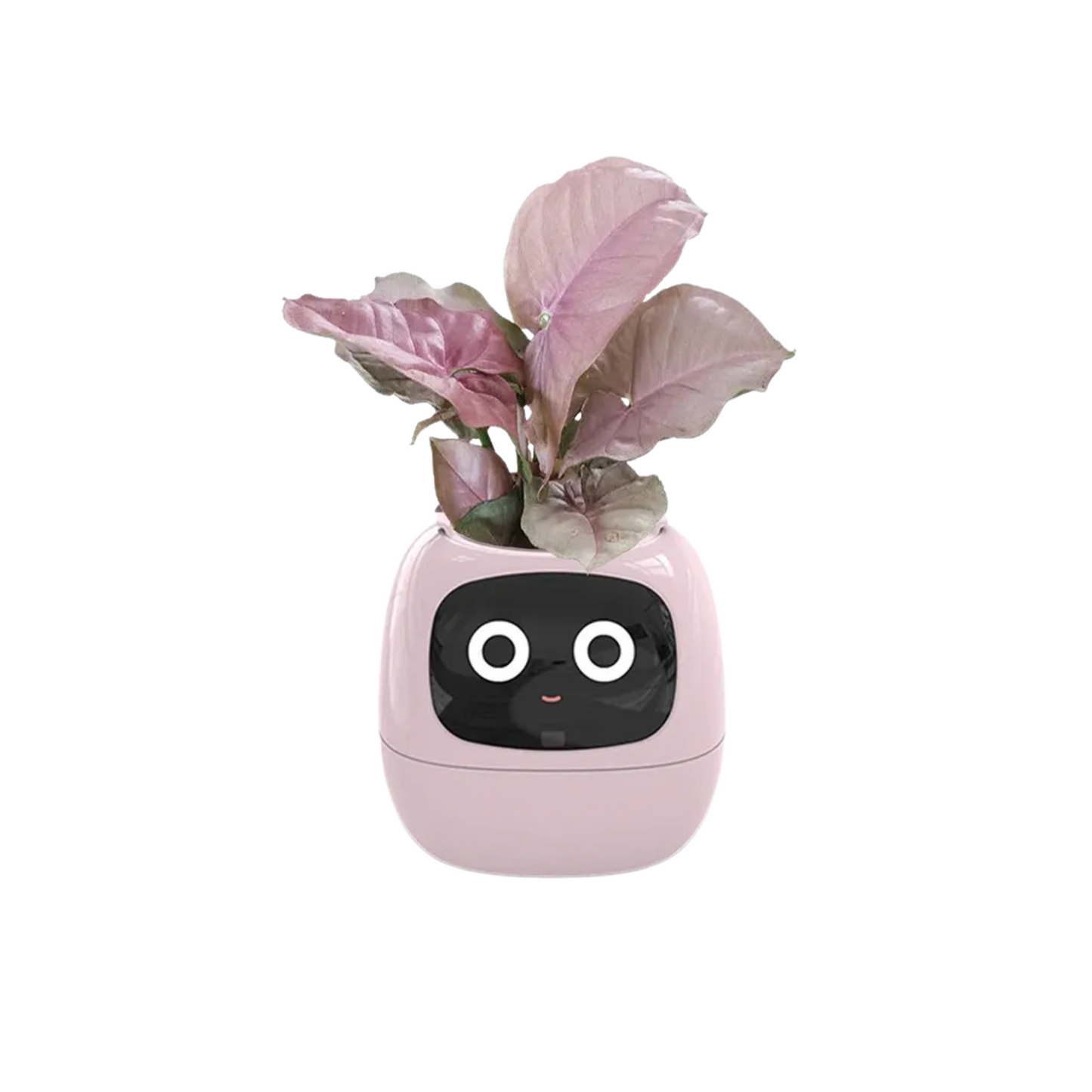 AI Plant Buddy
