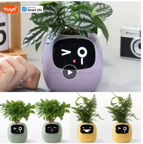 AI Plant Buddy