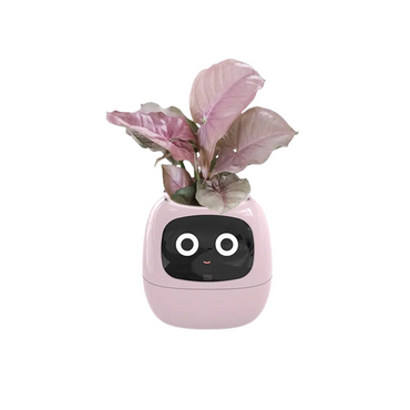 AI Plant Buddy